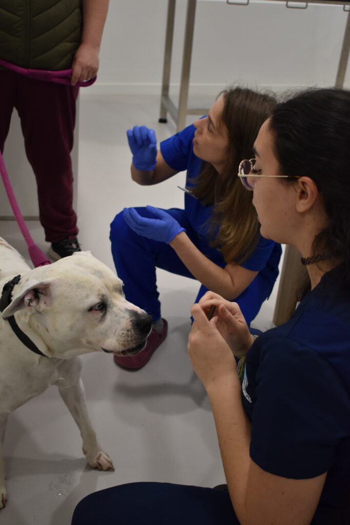 Centro Veterinario Pontevedra